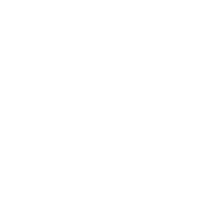 Avi-8